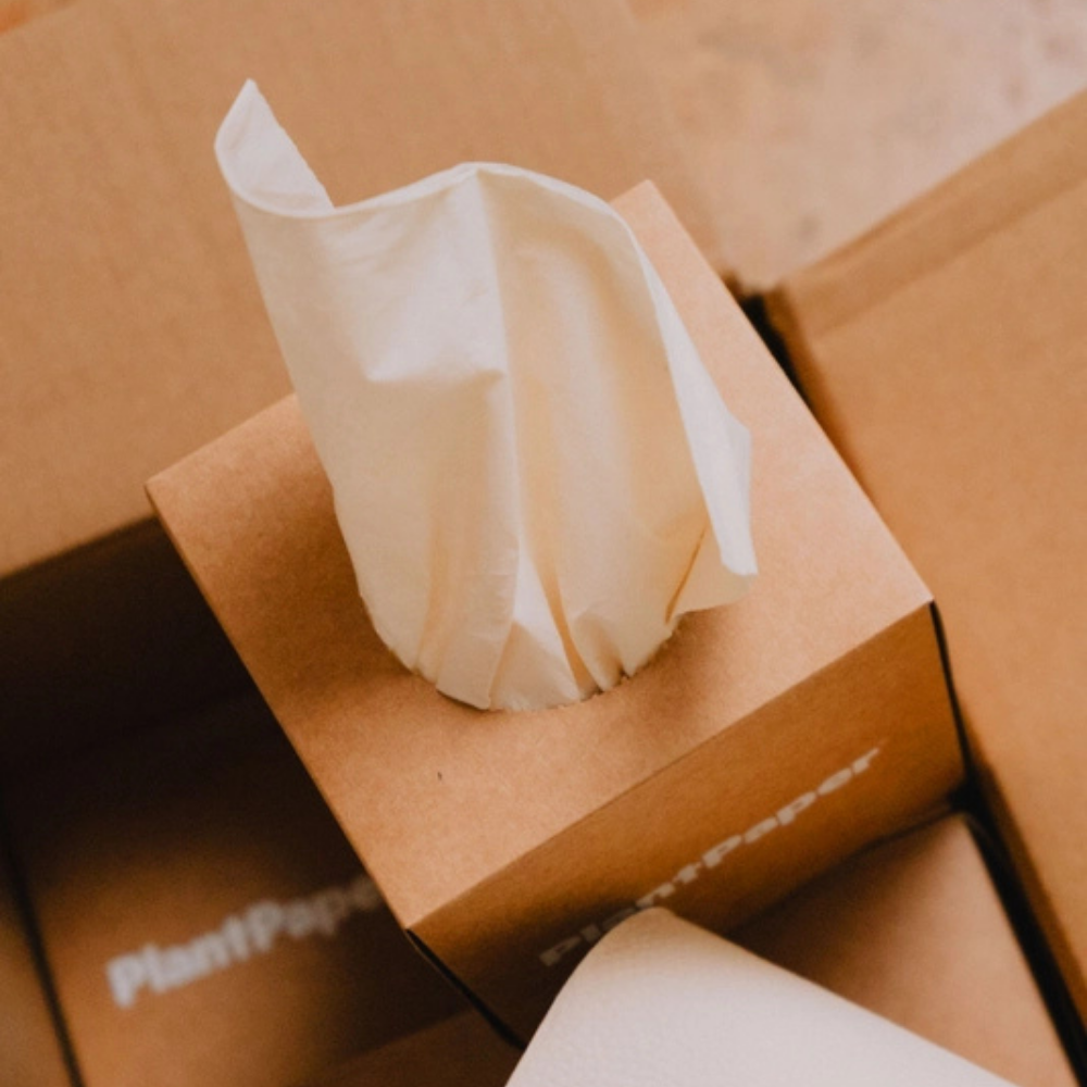 Unbleached, 3-ply Bamboo Facial Tissue by PlantPaper